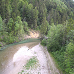 IMGP1933